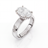Semper Fidelis Amora Ring White Gold